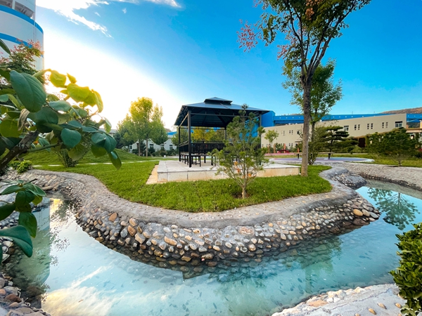 1665469572138192.jpg 生態鐵運 綠色文明 (作者:田輝 謝金偉) (2).jpg