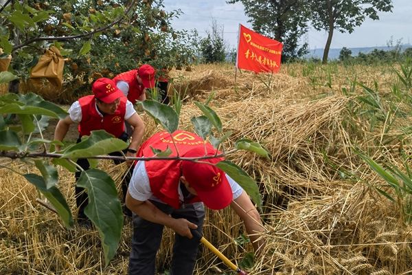 1687679806920869.jpg 3_副本.jpg