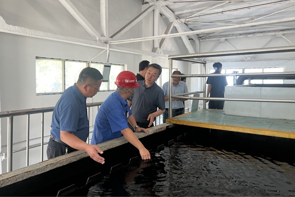 1691739522163232.jpg 2_副本.jpg