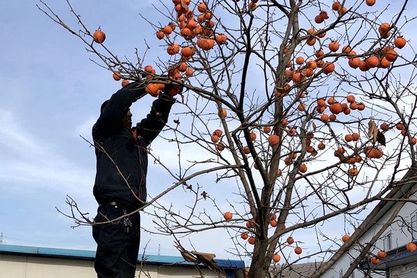 1699608144132475.jpg IMG_1474_副本.jpg