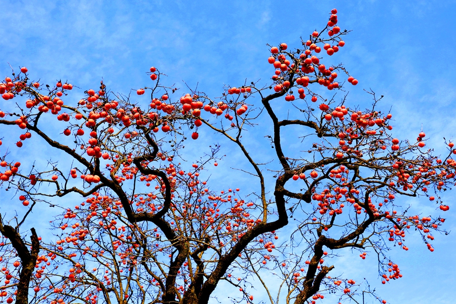 1700013205202487.jpg IMG_5128_副本.jpg