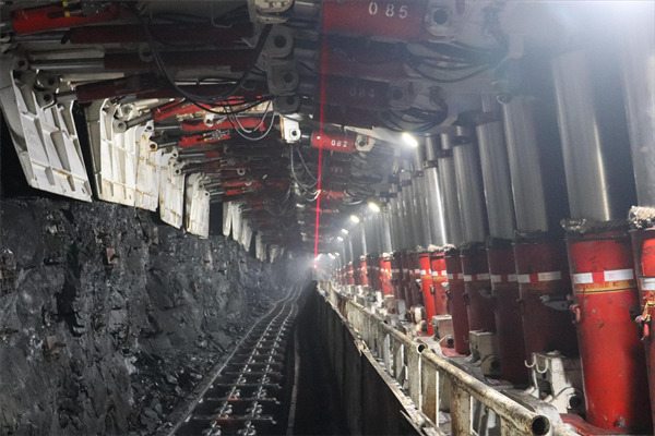 1700642432832555.png IMG_0549(1)(1)_副本.png