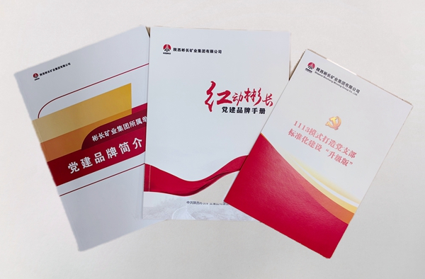 1714119726198059.jpg 1.“紅動(dòng)彬長”黨建品牌.jpg