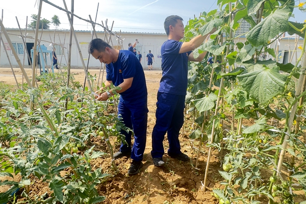 1720407285149461.jpg 6b7ee306237909cd687ce0a76dcf484_副本.jpg