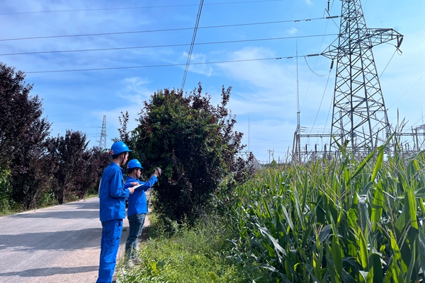 線路巡查_副本.jpg