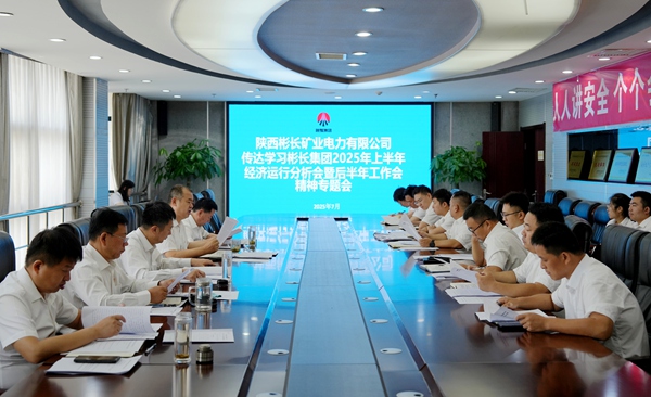 1753785192113300.jpg 電力.jpg