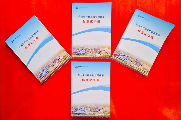 1 標準化手冊_副本.jpg