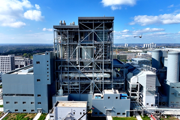 1766472288150323.jpg 圖片1_副本.jpg