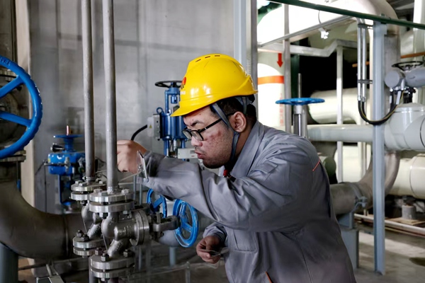 1767842339146788.jpg 2_副本.jpg