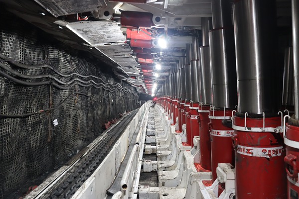 1768803968121126.jpg 2_副本.jpg