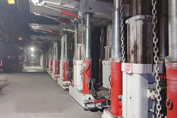 1768803993479208.jpg 3_副本.jpg