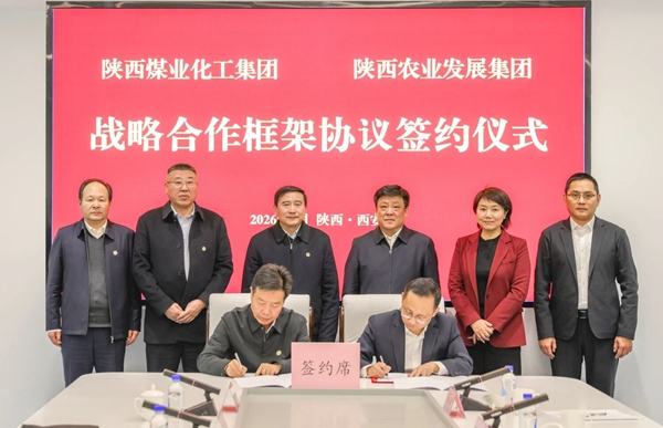 1769040353197090.jpg 22_副本.jpg