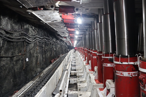 1769398752266194.jpg 2_副本.jpg