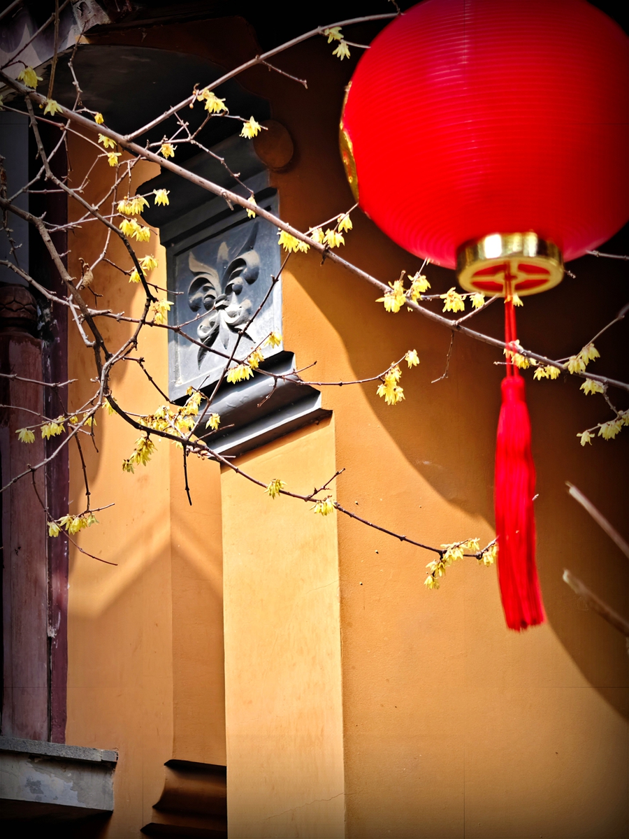 1771743419191547.jpg 圖2.jpg