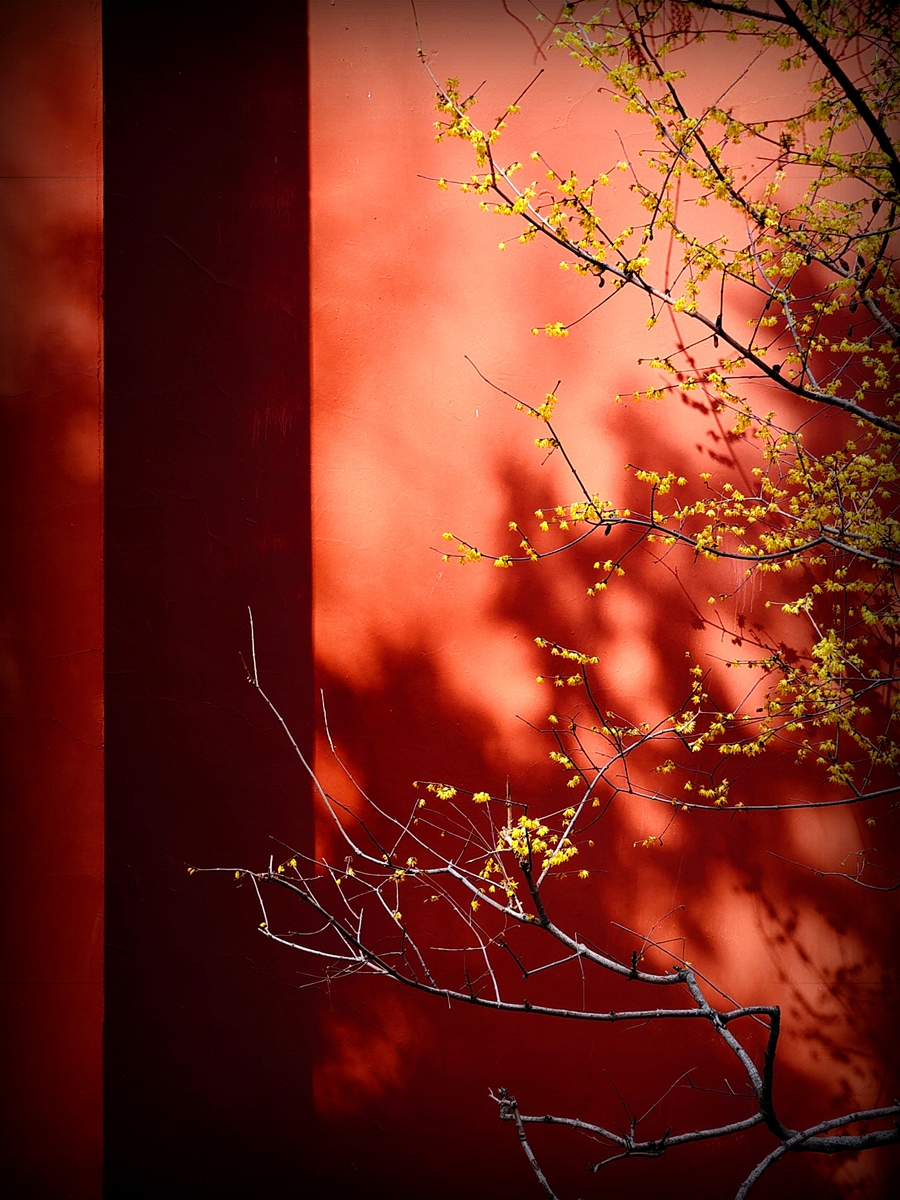 1771743444156007.jpg 圖4.jpg