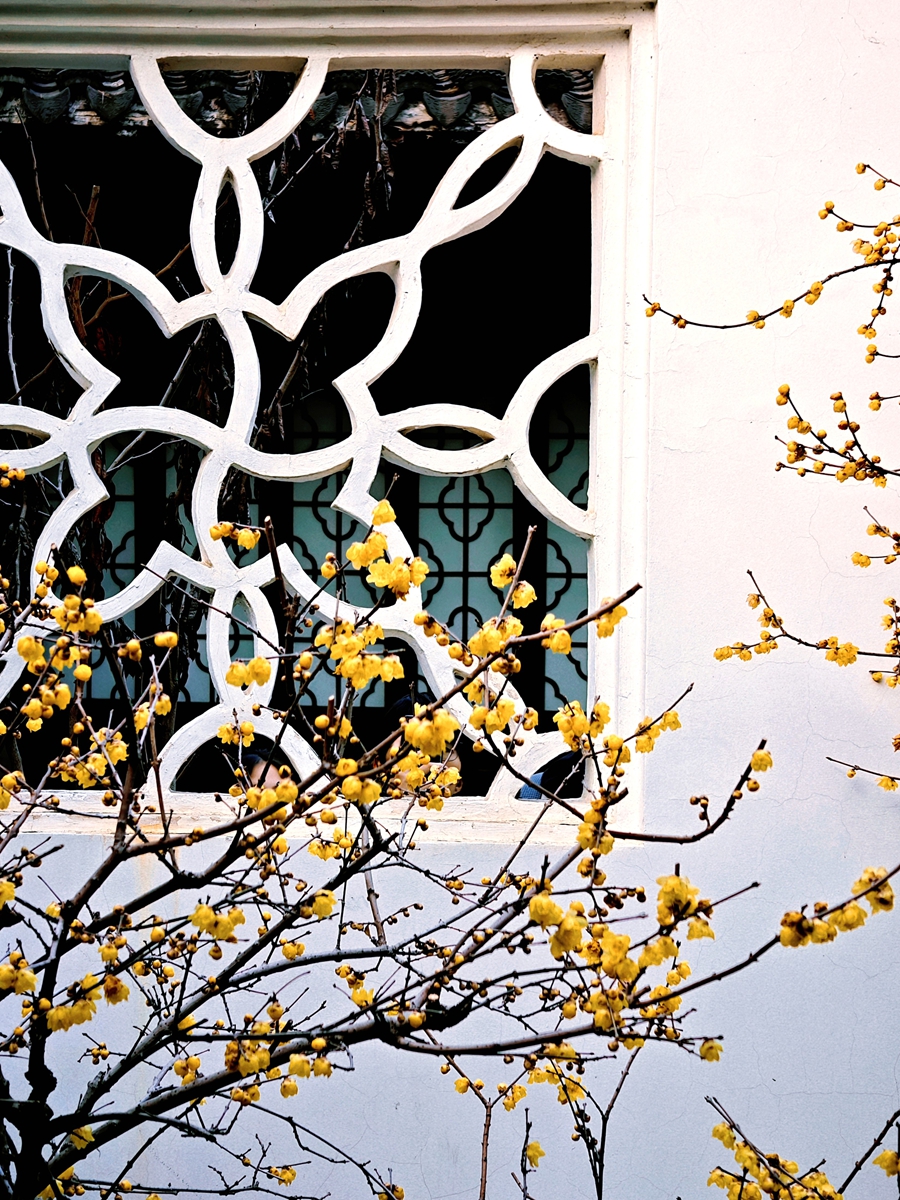 1771743455119548.jpg 圖5.jpg